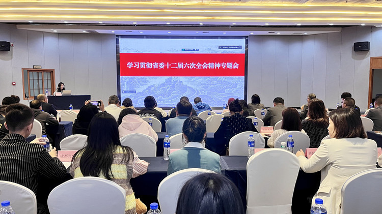 我省小額貸款公司線上學(xué)習(xí)貫徹省委十二屆六次全會精神視頻